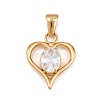 316 Surgical Stainless Steel Micro Pave Clear Cubic Zirconia Pendants STAS-A137-02B-G-1