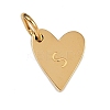 304 Stainless Steel Charms LS-STAS-L291-01G-S-1