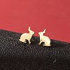 Stainless Steel Stud Earrings for Women PW-WGFE412-05-1