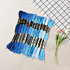 6-Ply Polyester Embroidery Floss OCOR-WH20074-01A-06-3
