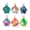 6Pcs 6 Color Dyed Synthetic Turquoise Sea Animal Pendants PALLOY-JF02725-1