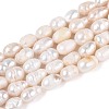 Natural Cultured Freshwater Pearl Beads Strands PEAR-N029-01B-1