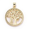 Brass Micro Pave Colorful Cubic Zirconia Pendants ZIRC-E165-05G-2