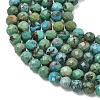 Natural HuBei Turquoise Beads Strands G-P629-A04-03-4