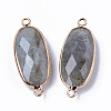 Natural Labradorite Links Connectors G-R472-03M-2