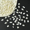 Acrylic Cabochons MRMJ-T063-217-6