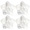 4Pcs Natural White Shell Mother of Pearl Shell Pendants SSHEL-YW0001-10-1
