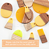DIY Dangle Earring Making Kits RESI-OC0001-15-4