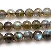 Natural Labradorite Beads Strands G-G448-10mm-04B-1