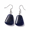 Natural Sodalite Trapezoid Dangle Earrings EJEW-D188-02P-07-2