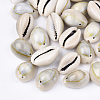 Cowrie Shell Links connectors SSHEL-Q310-01C-01-1