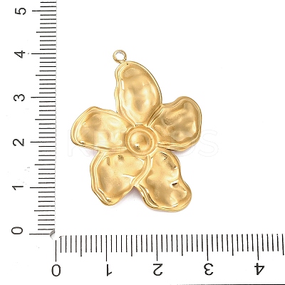 304 Stainless Steel Pendants LS-STAS-C147-17G-1