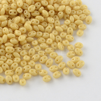 2-Hole Seed Beads GLAA-R159-04-1