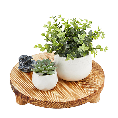 Wood Round Plant Saucer AJEW-WH0473-07A-1