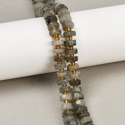 Natural Labradorite Beads Strands G-F796-A05-01-1