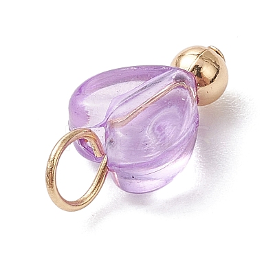 Transparent Acrylic Pendants PALLOY-JF03346-1