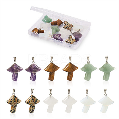 12Pcs 6 Style Natural & Synthetic Gemstone Pendants G-YS0001-12-1