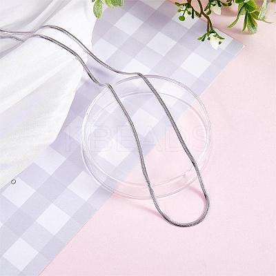 Simple Long Chain Necklace Stainless Steel Sweater Necklace Adjustable Chain Necklace Bold Snake Chain Necklace Trendy Statement Necklace Neck Jewelry for Women JN1102A-1