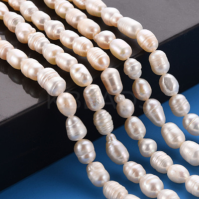 Natural Cultured Freshwater Pearl Beads Strands PEAR-S012-41E-1