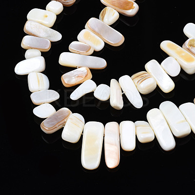Natural Trochid Shell/Trochus Shell Beads Strands SHEL-S258-082-A01-1