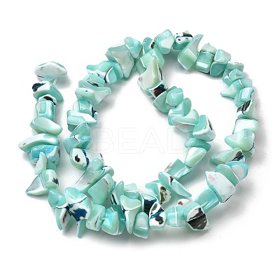 Natural Trochid Shell/Trochus Shell Beads Strands SHEL-B003-02K-1