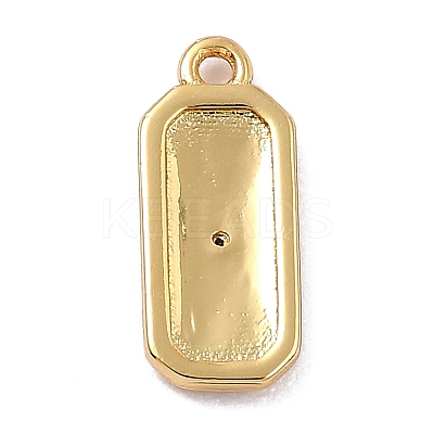 Brass Micro Pave Cubic Zirconia Charms ZIRC-I054-12G-08-1