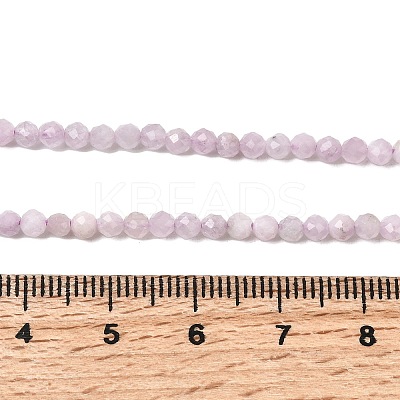 Natural Kunzite Beads Strands G-G343-B04-3mm-1