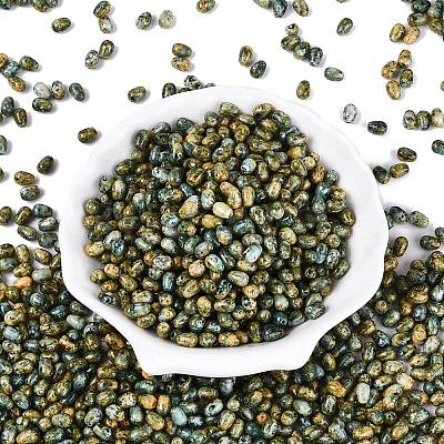 Picasso Glass Seed Beads SEED-N012-10K-1
