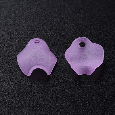 Transparent Acrylic Beads MACR-S373-106-D03-1