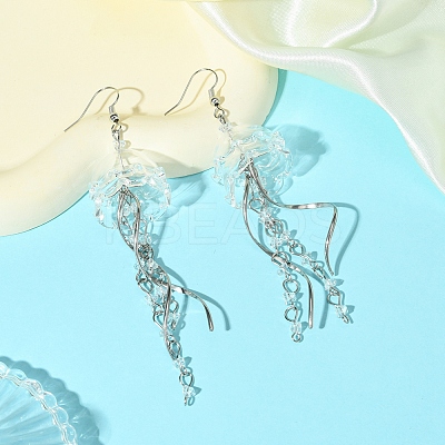 Iron Dangle Earrings EJEW-FS00021-1