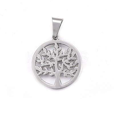 Non-Tarnish 304 Stainless Steel Pendants STAS-P209-14P-1