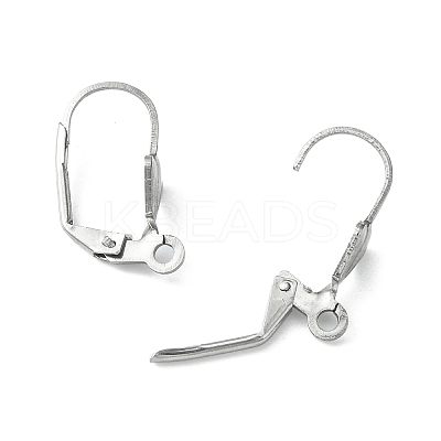 Tarnish Resistant 304 Stainless Steel Leverback Earring Findings STAS-E007-2-1