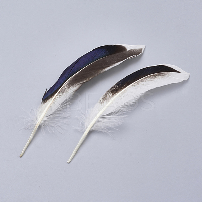 Feather Costume Accessories X-FIND-Q046-15F-1
