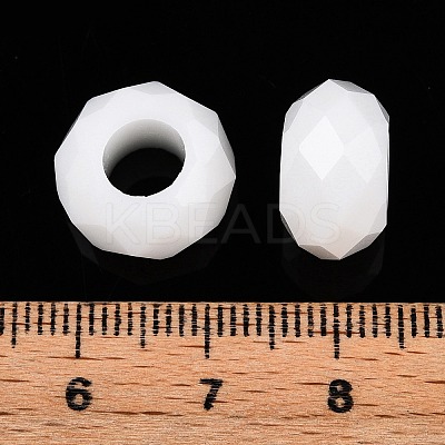 Glass European Beads LS-GDA007-100-1