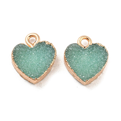 Resin with Golden Zinc Alloy Charms LS-RESI-CJC0009-04D-1
