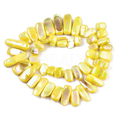 Natural Freshwater Shell Beads Strands X-SHEL-N026-123A-1