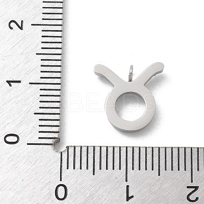 304 Stainless Steel Micro Pave Cubic Zirconia Charms STAS-Z107-09P-03-1