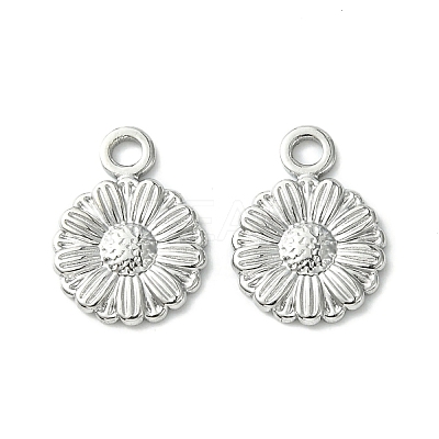 Non-Tarnish 304 Stainless Steel Charms LS-STAS-L269-056P-1