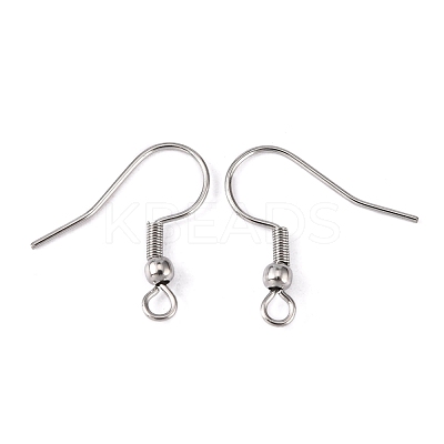 Tarnish Resistant 316 Surgical Stainless Steel Earring Hooks X-STAS-O032-01-1