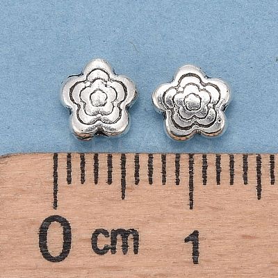 Tibetan Style Alloy Beads LF10721Y-1