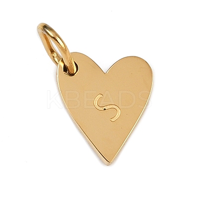 304 Stainless Steel Charms LS-STAS-L291-01G-S-1