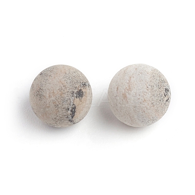 Natural Petrified Wood Beads G-I274-10-1