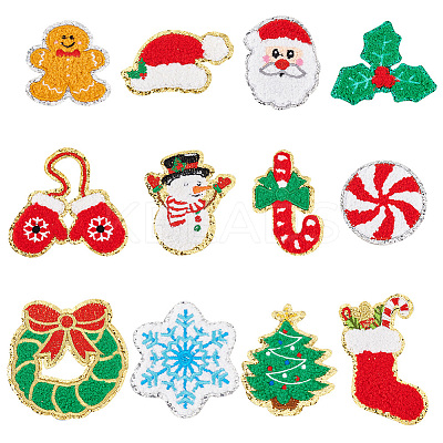 12Pcs 12 Style Christmas Theme Towel Embroidery Cloth Iron on/Sew on Patches PATC-FG0001-47-1