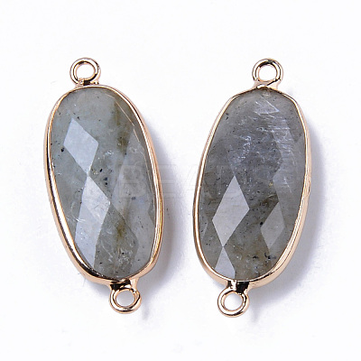 Natural Labradorite Links Connectors G-R472-03M-1