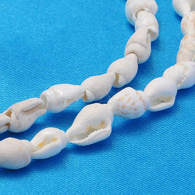 Natural Trumpet Shell Beads Strands X-S02KI011-1