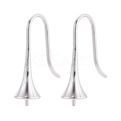 304 Stainless Steel Earring Hooks X-STAS-N108-30P-1