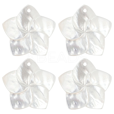 4Pcs Natural White Shell Mother of Pearl Shell Pendants SSHEL-YW0001-10-1