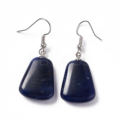 Natural Sodalite Trapezoid Dangle Earrings EJEW-D188-02P-07-1