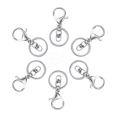 Iron Alloy Lobster Claw Clasp Keychain X-KEYC-D016-P-1