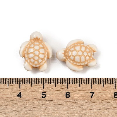 Acrylic Imitation Turquoise Beads OACR-S047-01-1